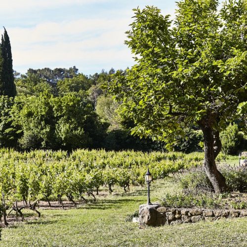 HOSTELLERIE DE L'ABBAYE DE LA CELLE - Coffret Vignobles & Découvertes en Provence